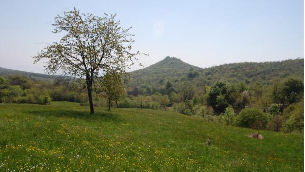 L\'Altopiano di Cariadeghe L\'Altopiano di Cariadeghe